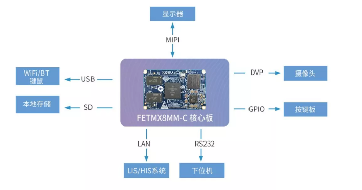 全自動蛋白分析儀方案原理